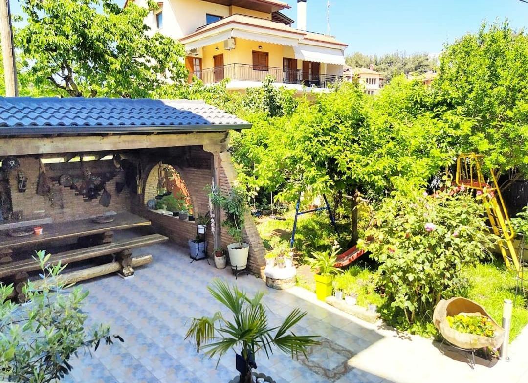 Alexandras Cozy Apartment Ioannina Ngoại thất bức ảnh